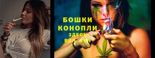 индика Навашино