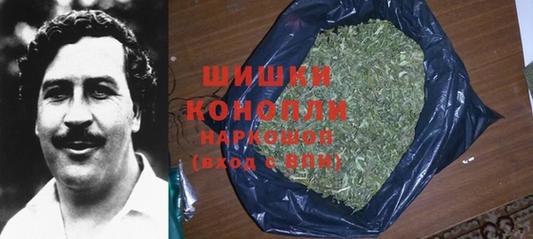 шишки Алексеевка